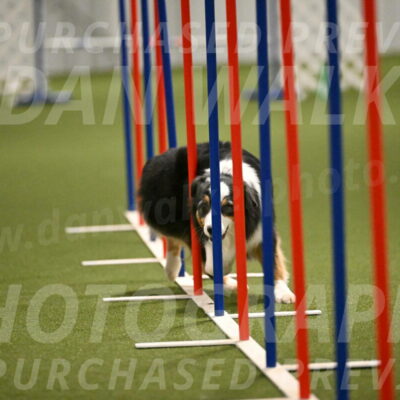 Amazing-Grace-Claudia-Brydon-01844