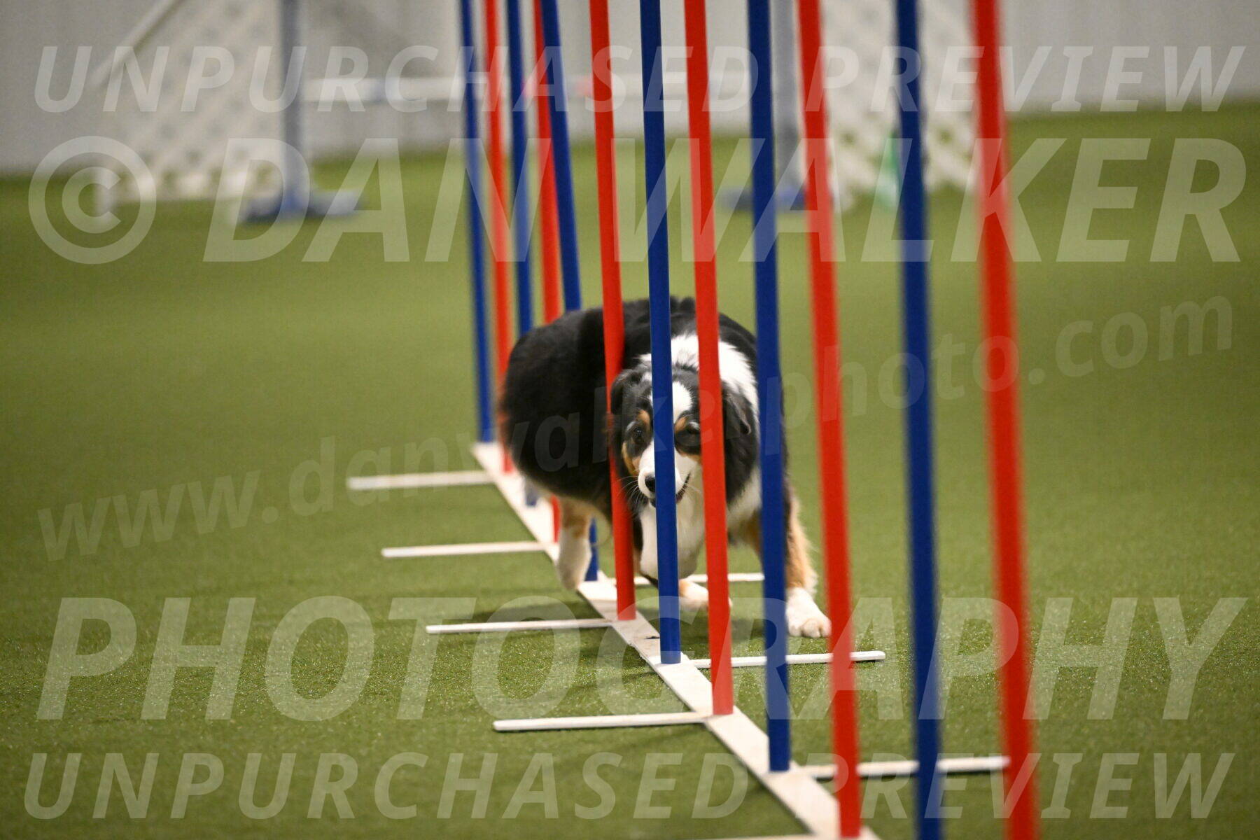 Amazing-Grace-Claudia-Brydon-01844