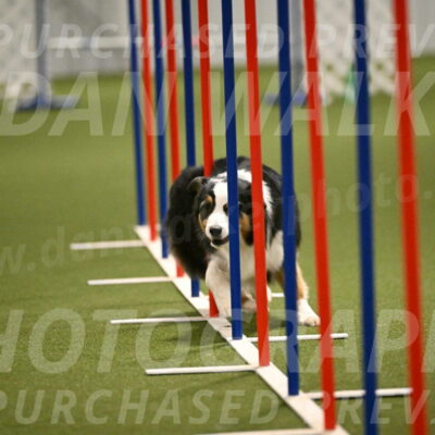 Amazing-Grace-Claudia-Brydon-01845