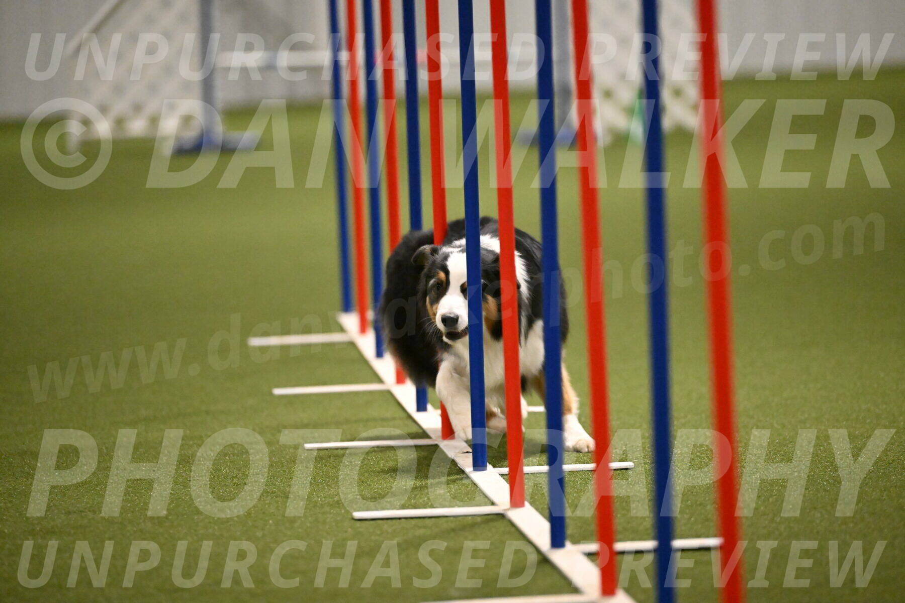 Amazing-Grace-Claudia-Brydon-01845