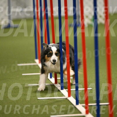 Amazing-Grace-Claudia-Brydon-01846