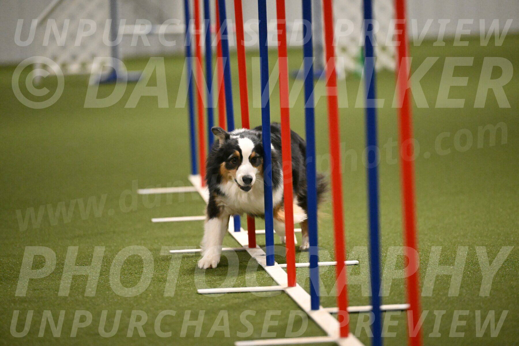 Amazing-Grace-Claudia-Brydon-01846