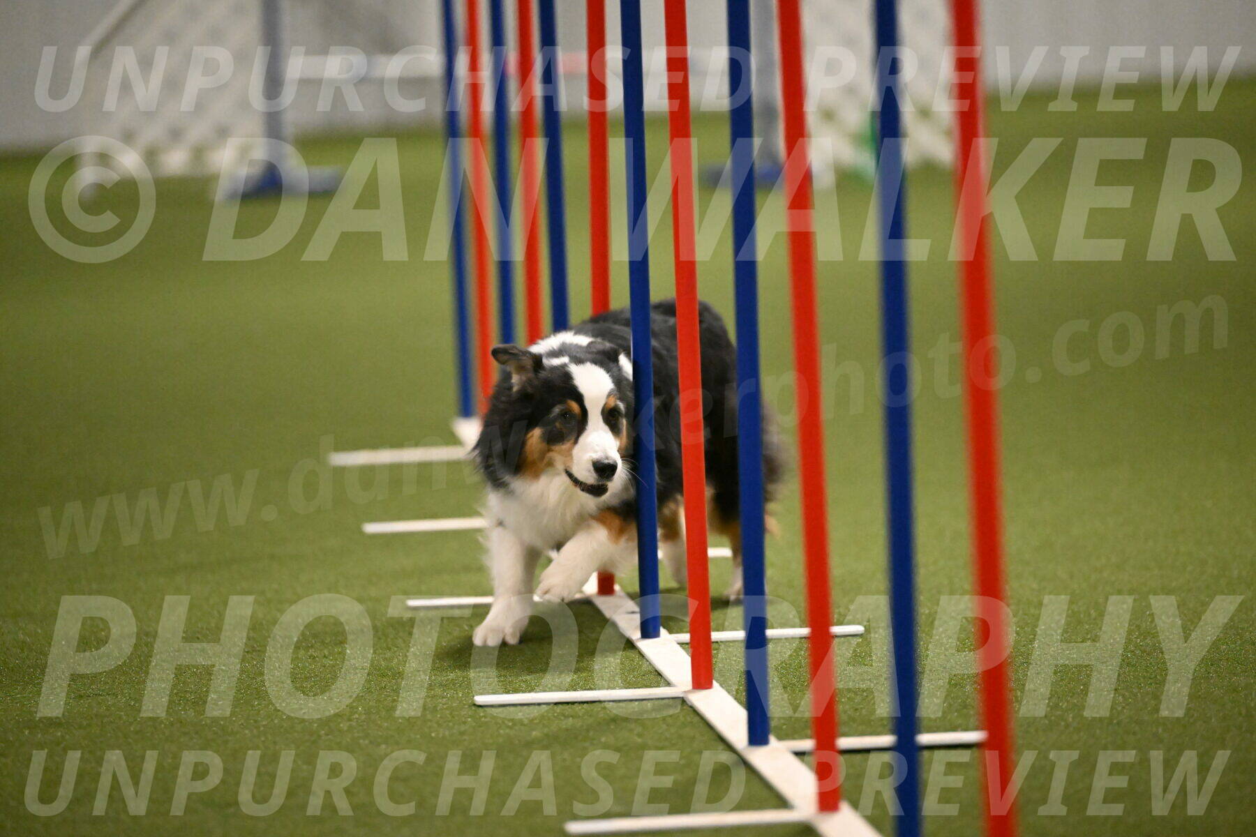 Amazing-Grace-Claudia-Brydon-01847