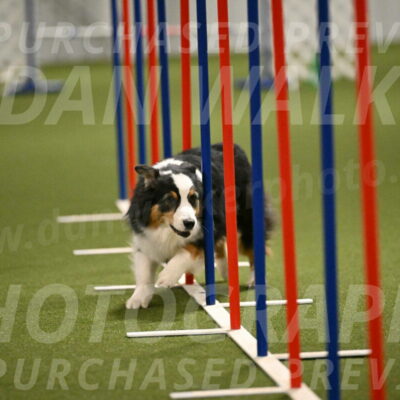 Amazing-Grace-Claudia-Brydon-01847