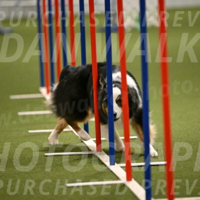 Amazing-Grace-Claudia-Brydon-01848