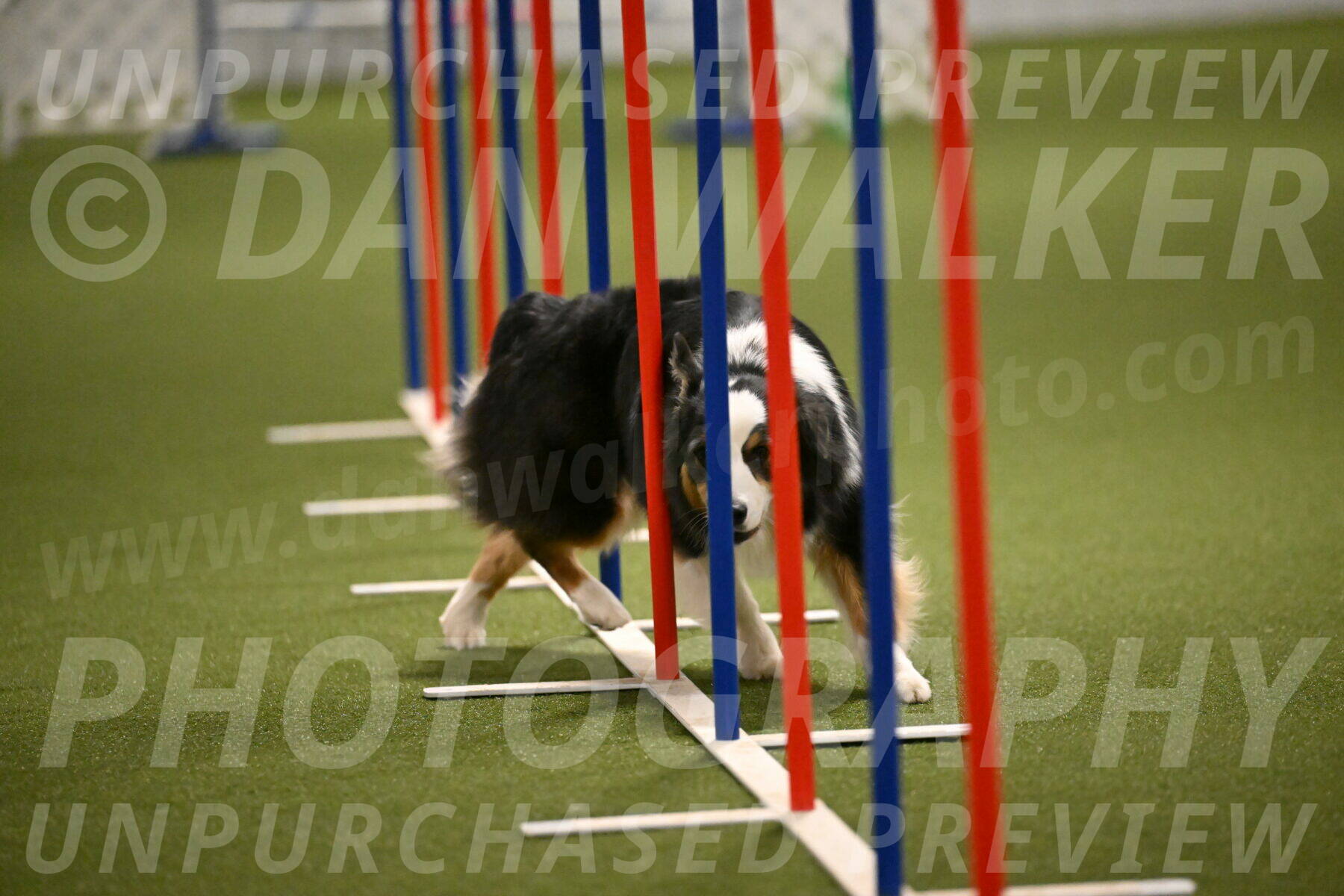 Amazing-Grace-Claudia-Brydon-01848