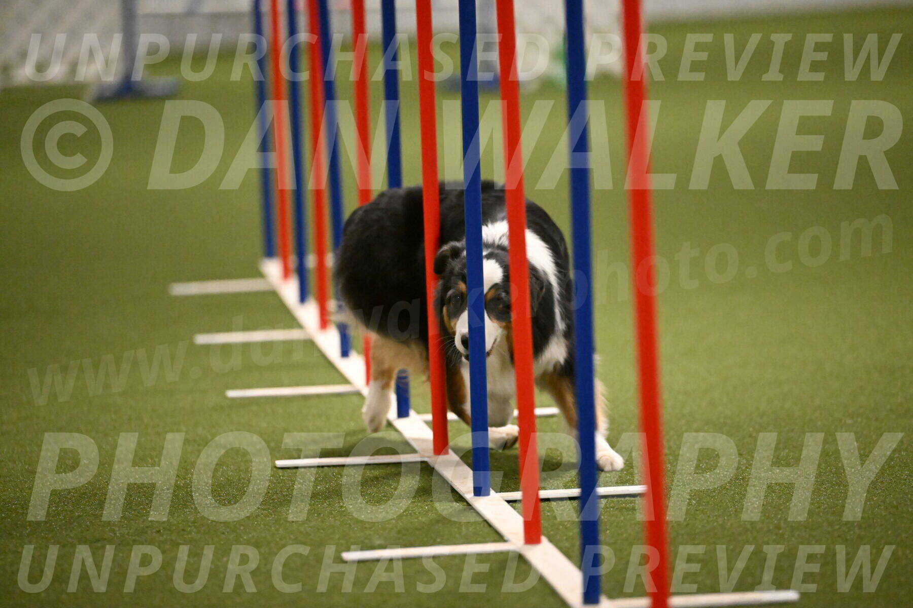 Amazing-Grace-Claudia-Brydon-01849