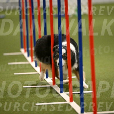 Amazing-Grace-Claudia-Brydon-01849