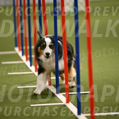 Amazing-Grace-Claudia-Brydon-01850