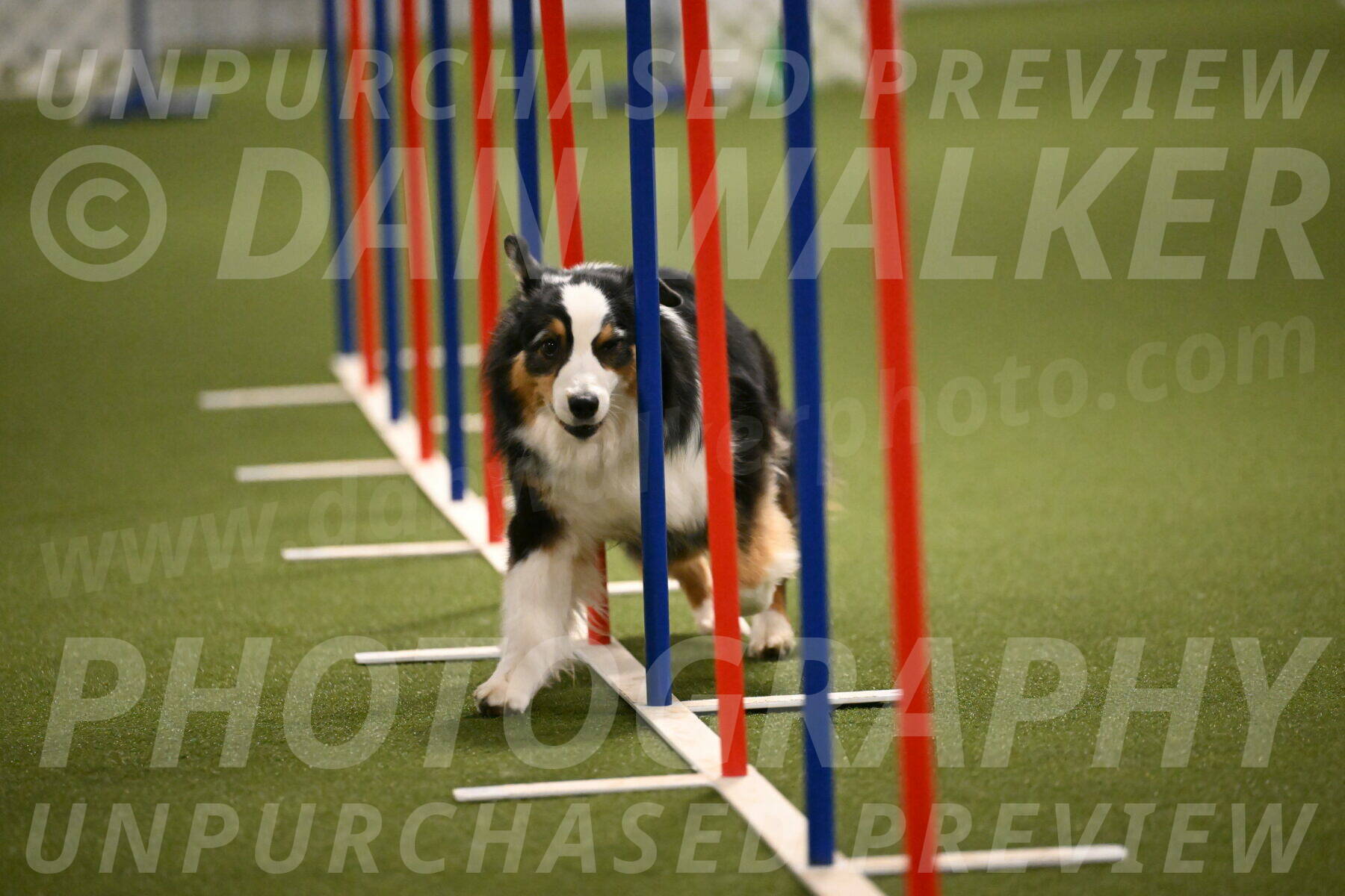 Amazing-Grace-Claudia-Brydon-01850