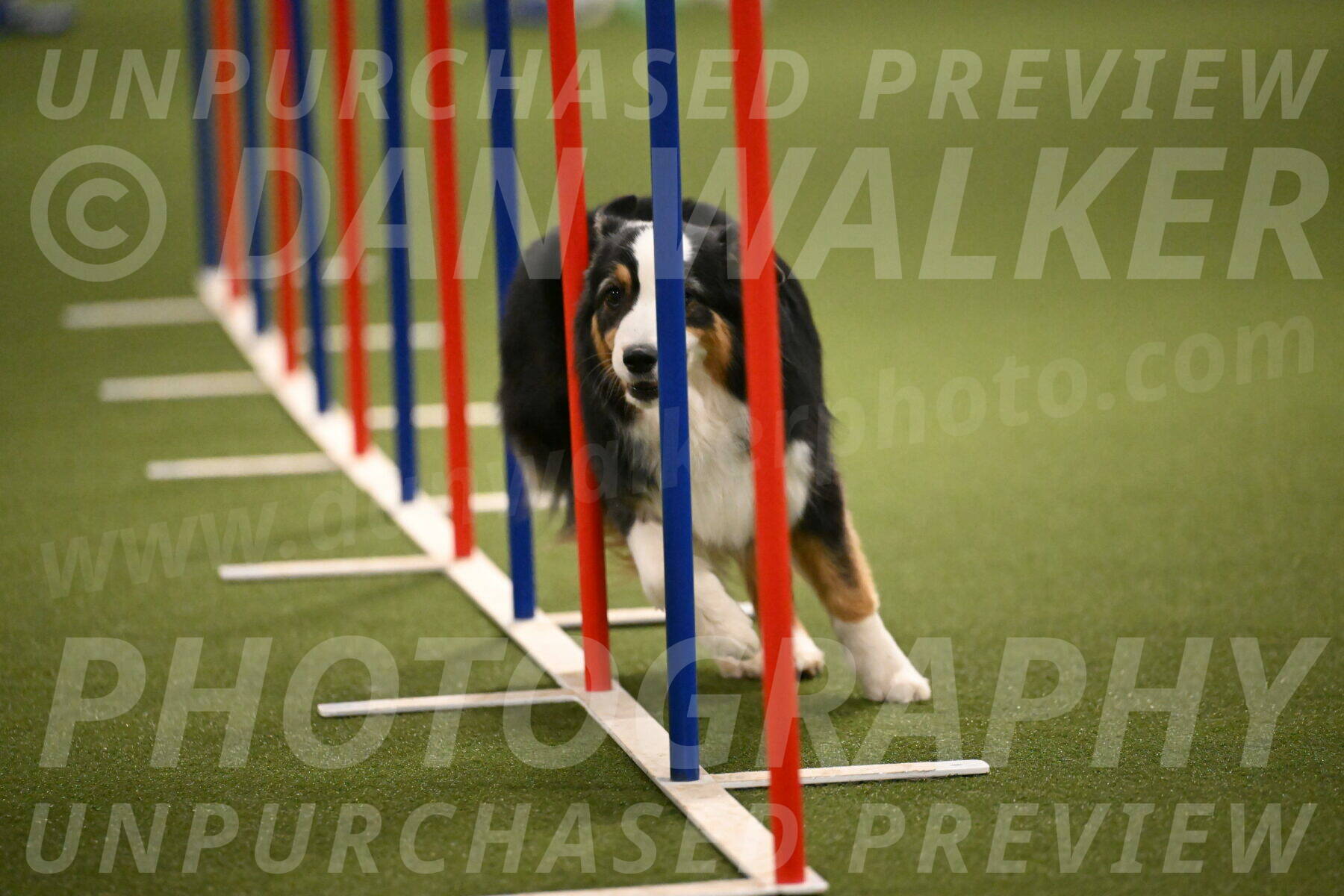 Amazing-Grace-Claudia-Brydon-01851