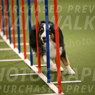 Amazing-Grace-Claudia-Brydon-01851