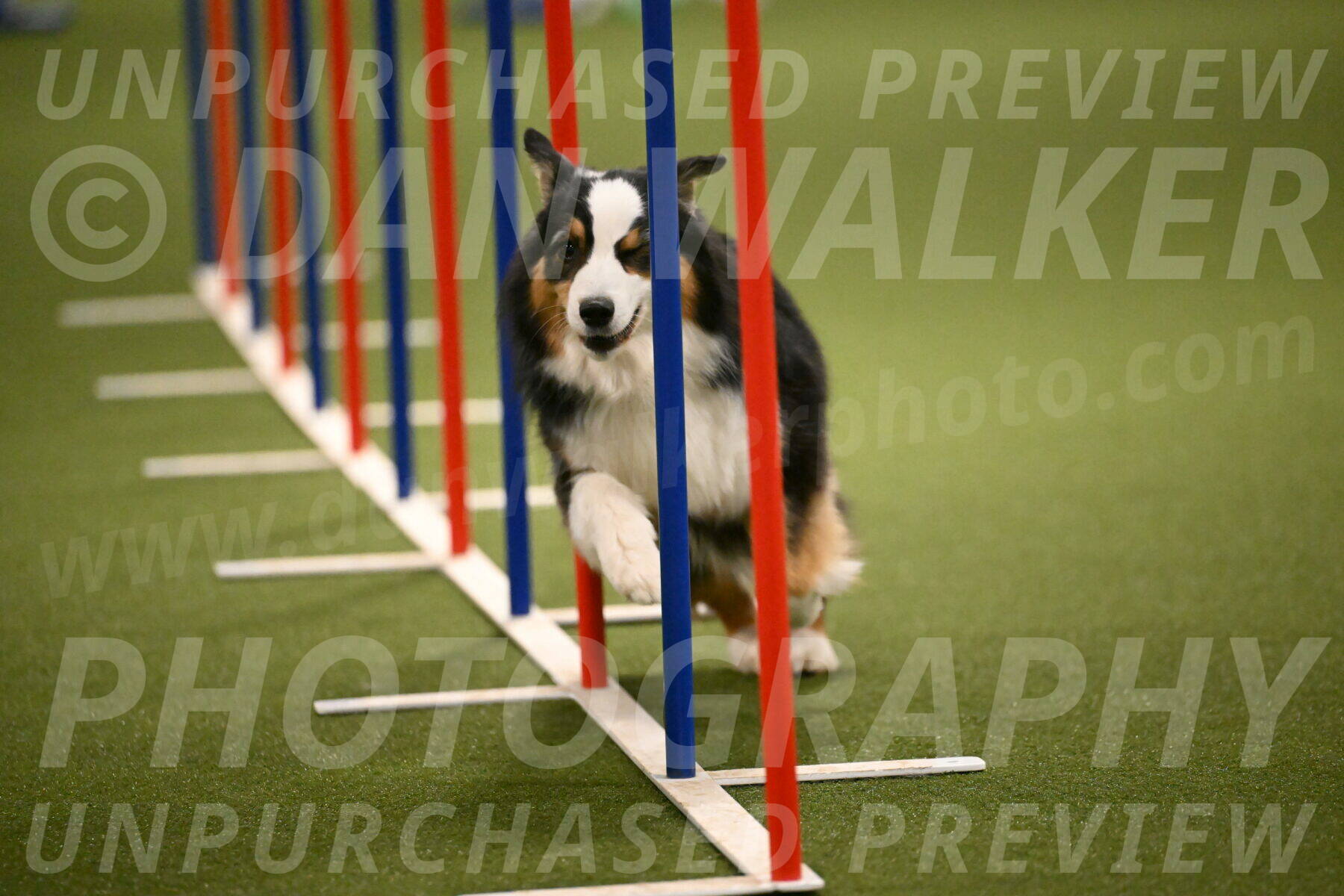 Amazing-Grace-Claudia-Brydon-01852