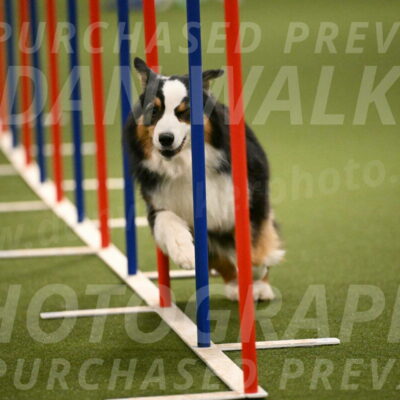 Amazing-Grace-Claudia-Brydon-01852