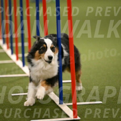 Amazing-Grace-Claudia-Brydon-01853