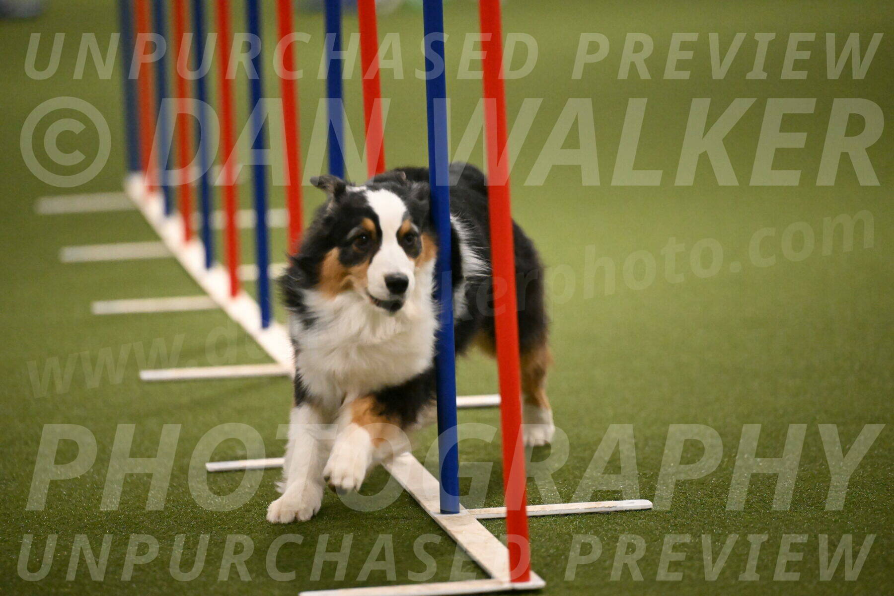 Amazing-Grace-Claudia-Brydon-01853