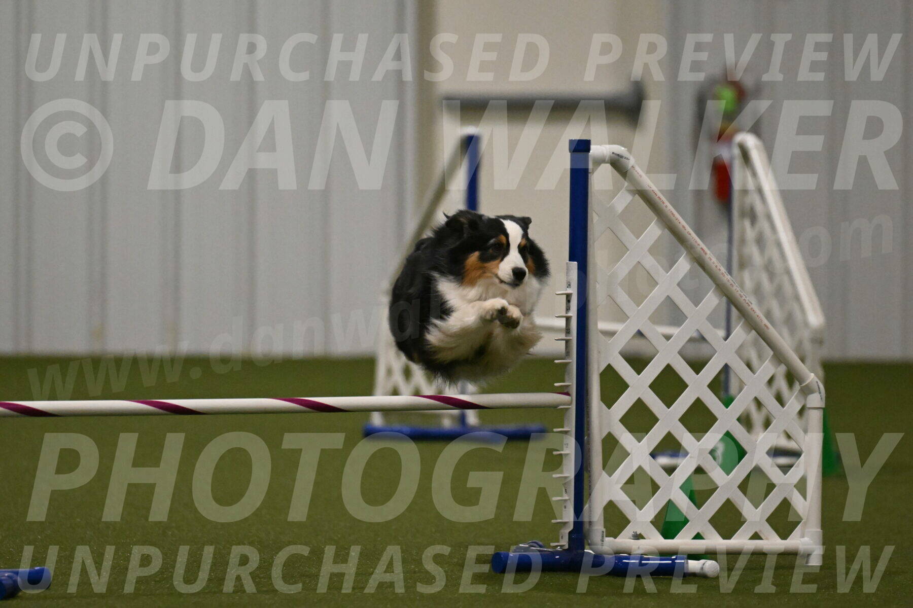 Amazing-Grace-Claudia-Brydon-01854