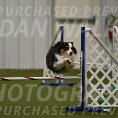 Amazing-Grace-Claudia-Brydon-01854