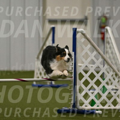 Amazing-Grace-Claudia-Brydon-01855