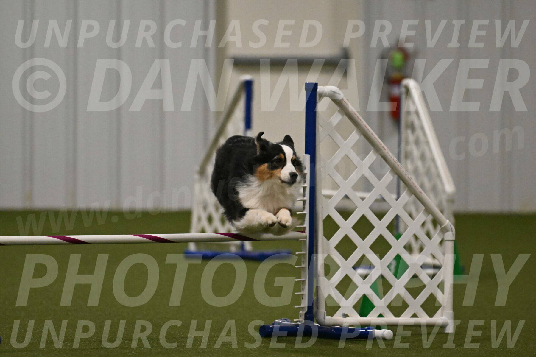 Amazing-Grace-Claudia-Brydon-01855