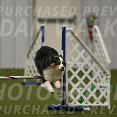 Amazing-Grace-Claudia-Brydon-01856