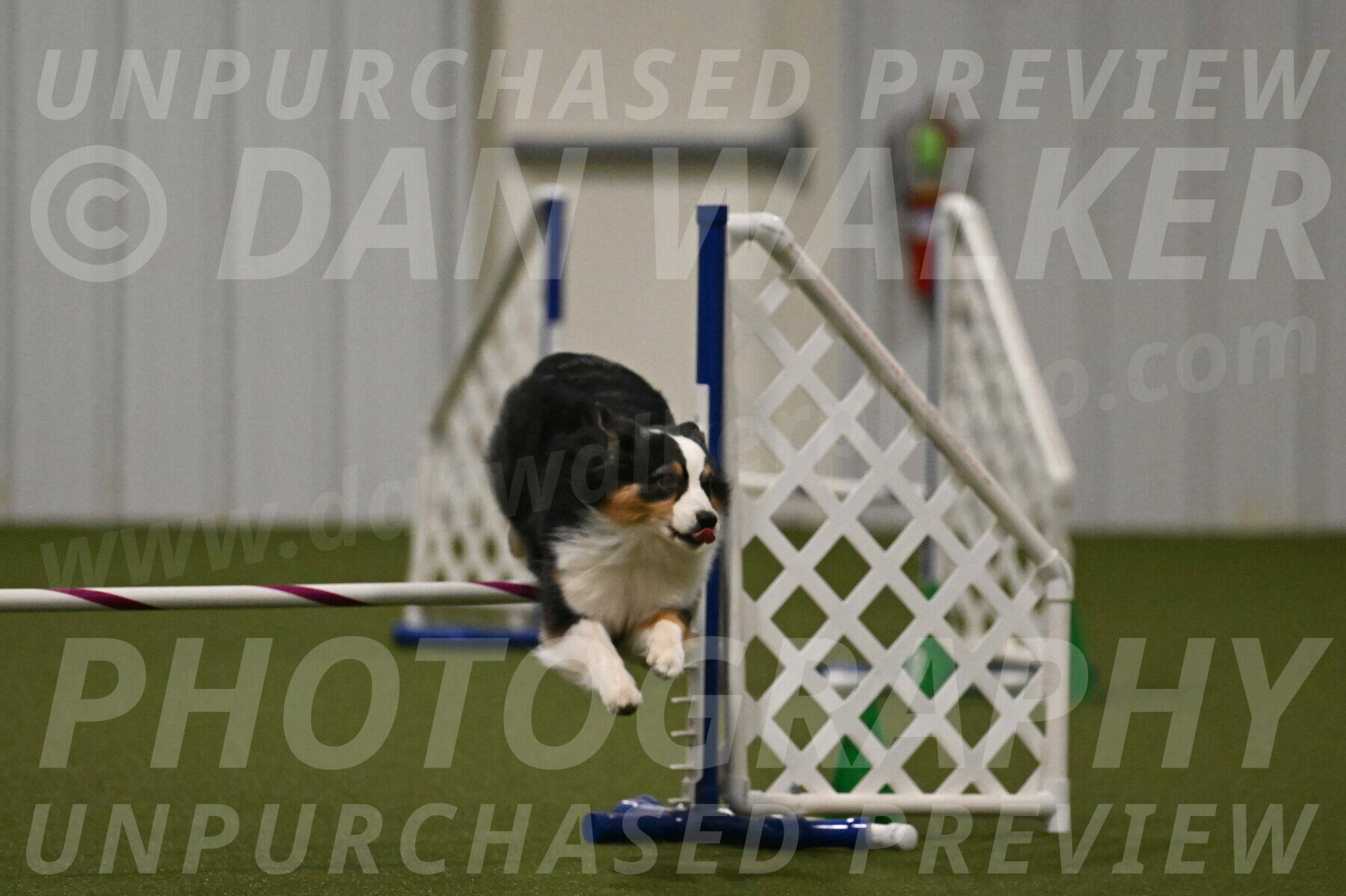 Amazing-Grace-Claudia-Brydon-01856