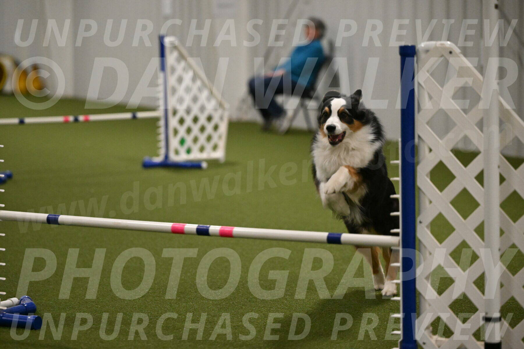 Amazing-Grace-Claudia-Brydon-01857