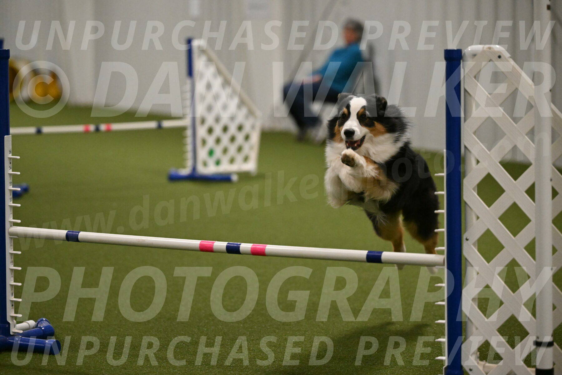 Amazing-Grace-Claudia-Brydon-01858