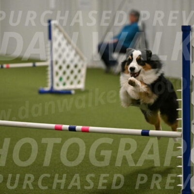 Amazing-Grace-Claudia-Brydon-01858