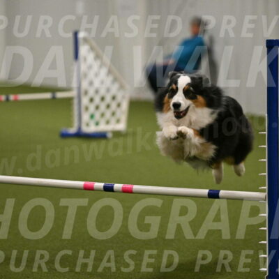 Amazing-Grace-Claudia-Brydon-01859