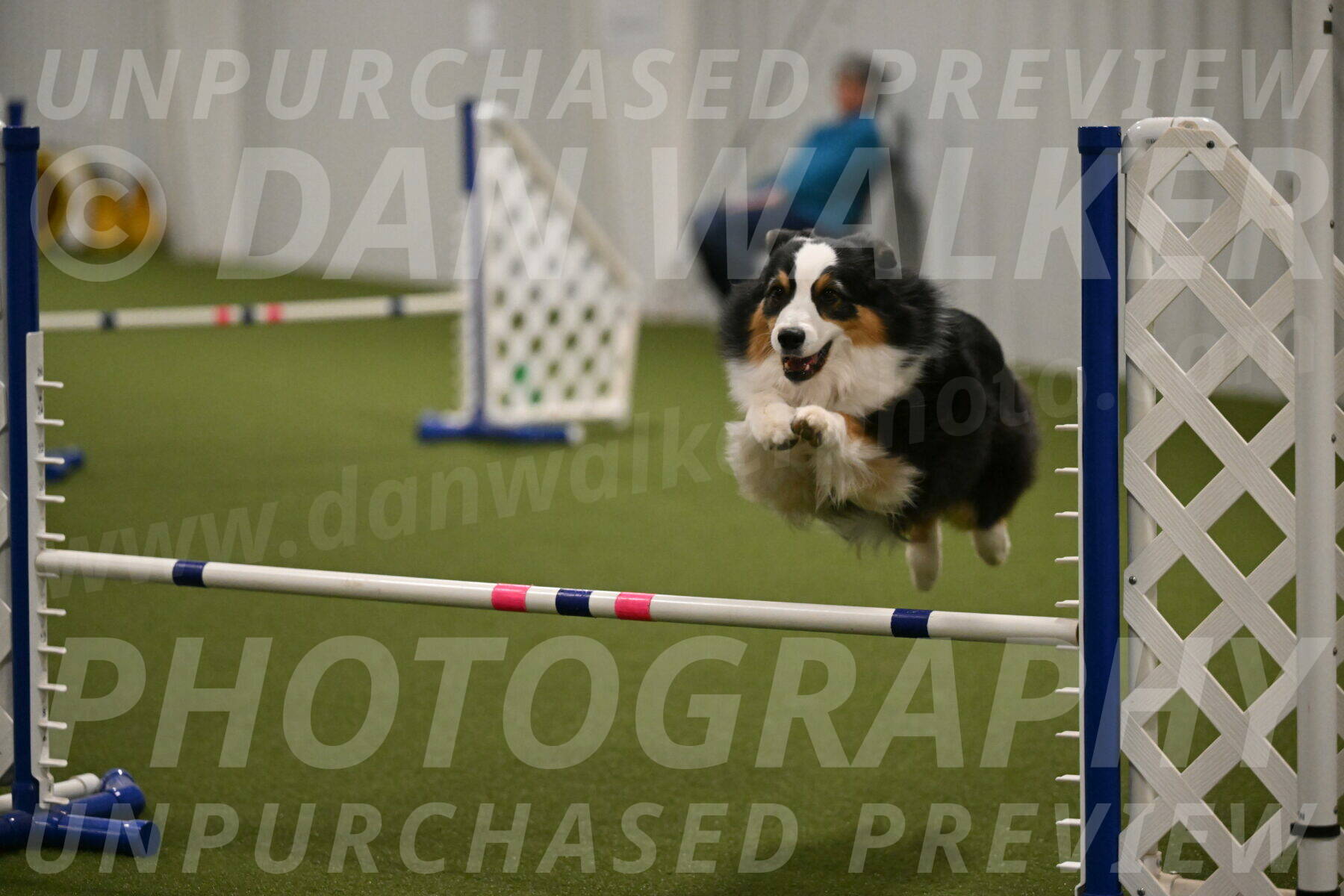 Amazing-Grace-Claudia-Brydon-01859