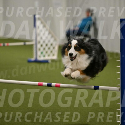 Amazing-Grace-Claudia-Brydon-01860