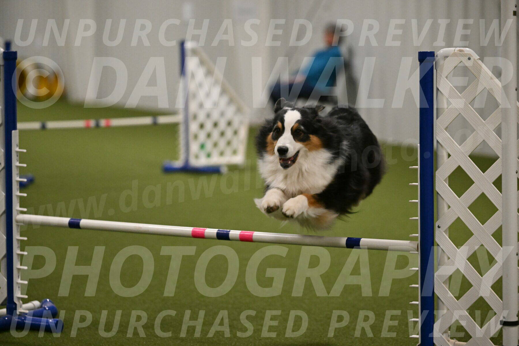 Amazing-Grace-Claudia-Brydon-01860