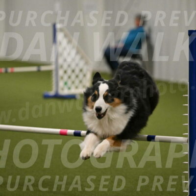 Amazing-Grace-Claudia-Brydon-01861