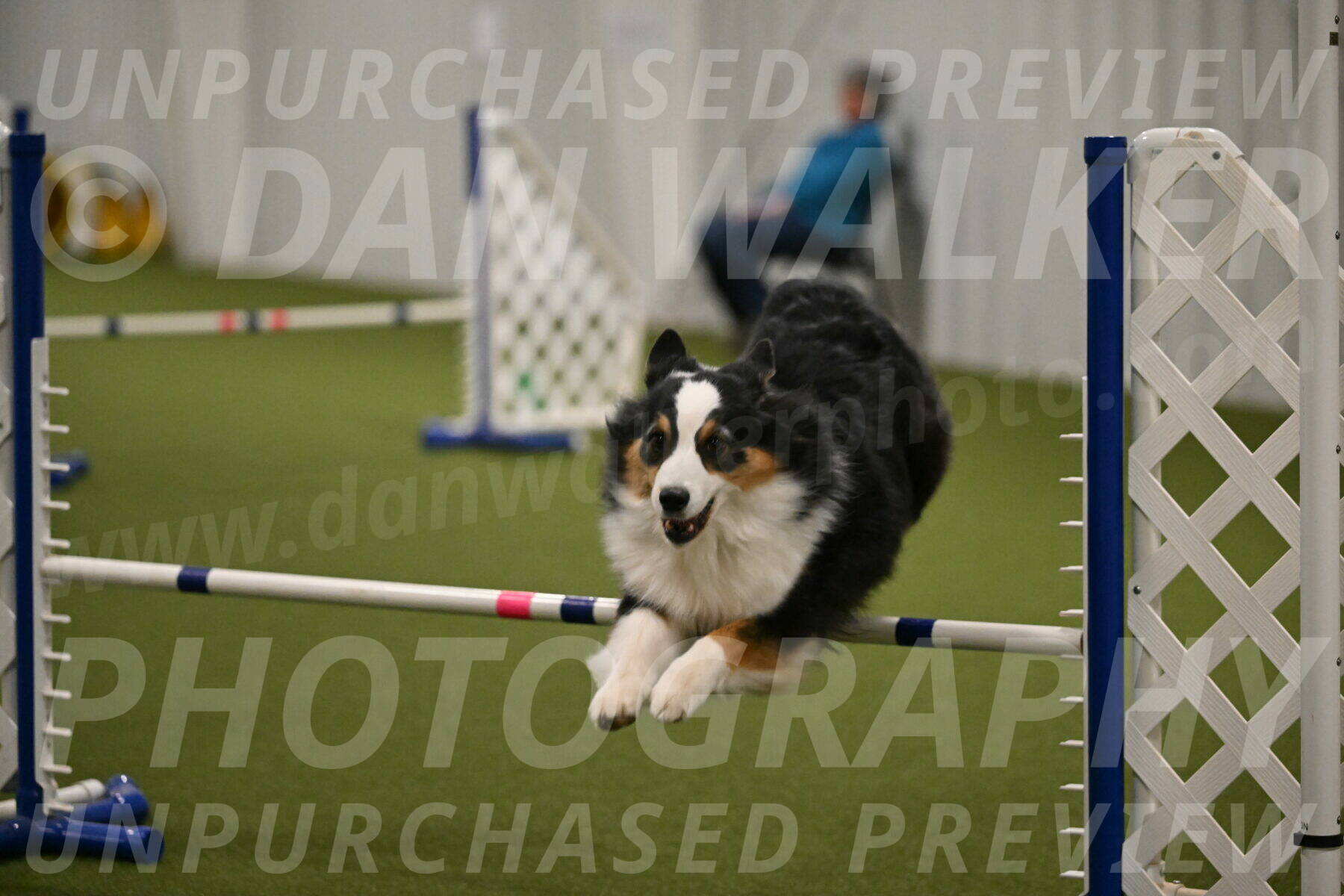 Amazing-Grace-Claudia-Brydon-01861