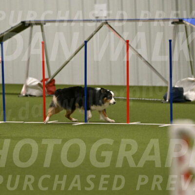 Amazing-Grace-Claudia-Brydon-01862