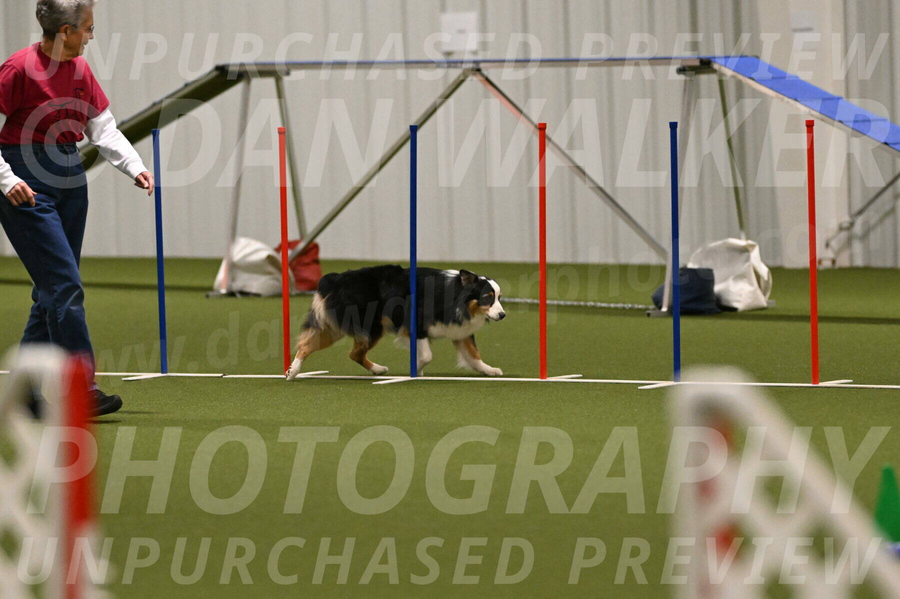 Amazing-Grace-Claudia-Brydon-01862