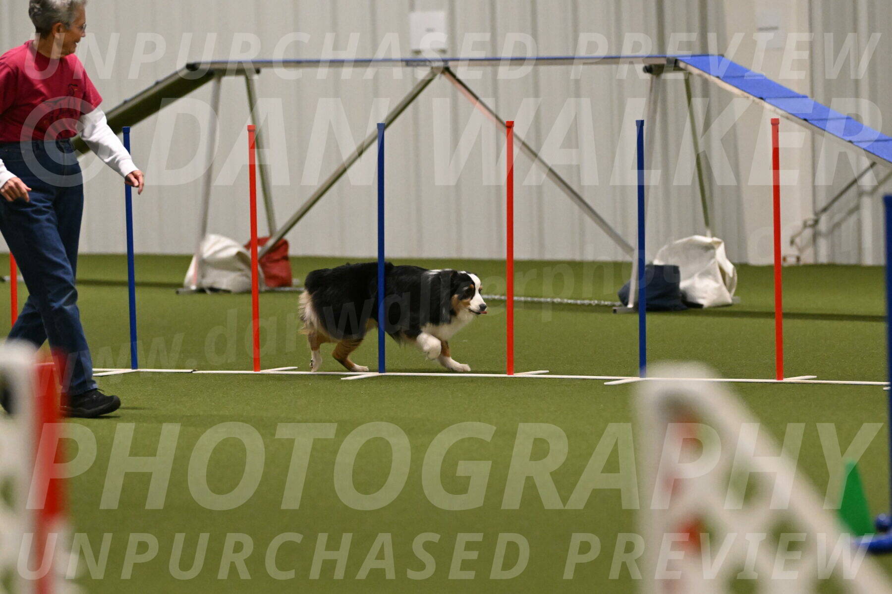 Amazing-Grace-Claudia-Brydon-01863