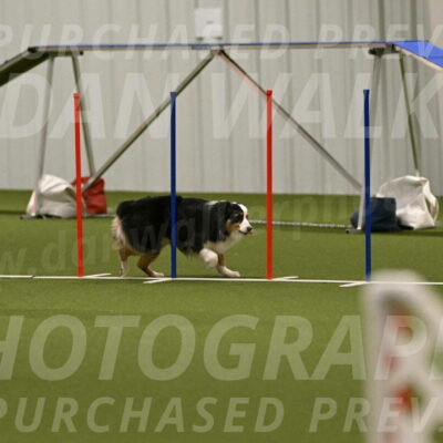 Amazing-Grace-Claudia-Brydon-01863