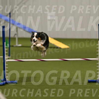 Amazing-Grace-Claudia-Brydon-01864