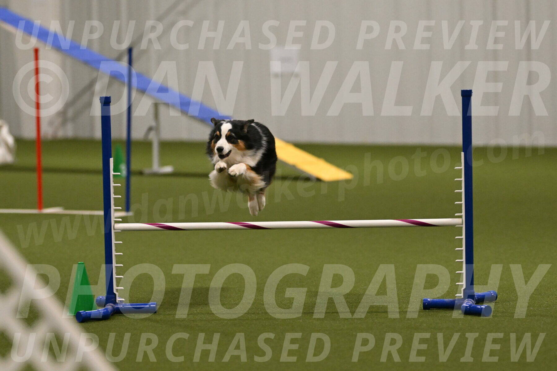 Amazing-Grace-Claudia-Brydon-01864