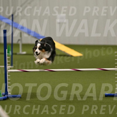 Amazing-Grace-Claudia-Brydon-01865