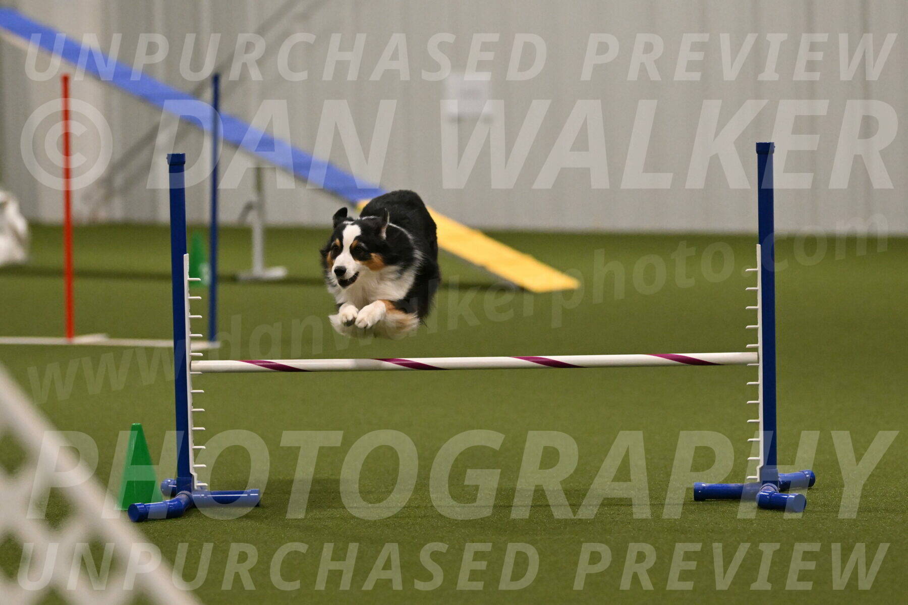 Amazing-Grace-Claudia-Brydon-01865