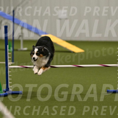 Amazing-Grace-Claudia-Brydon-01866