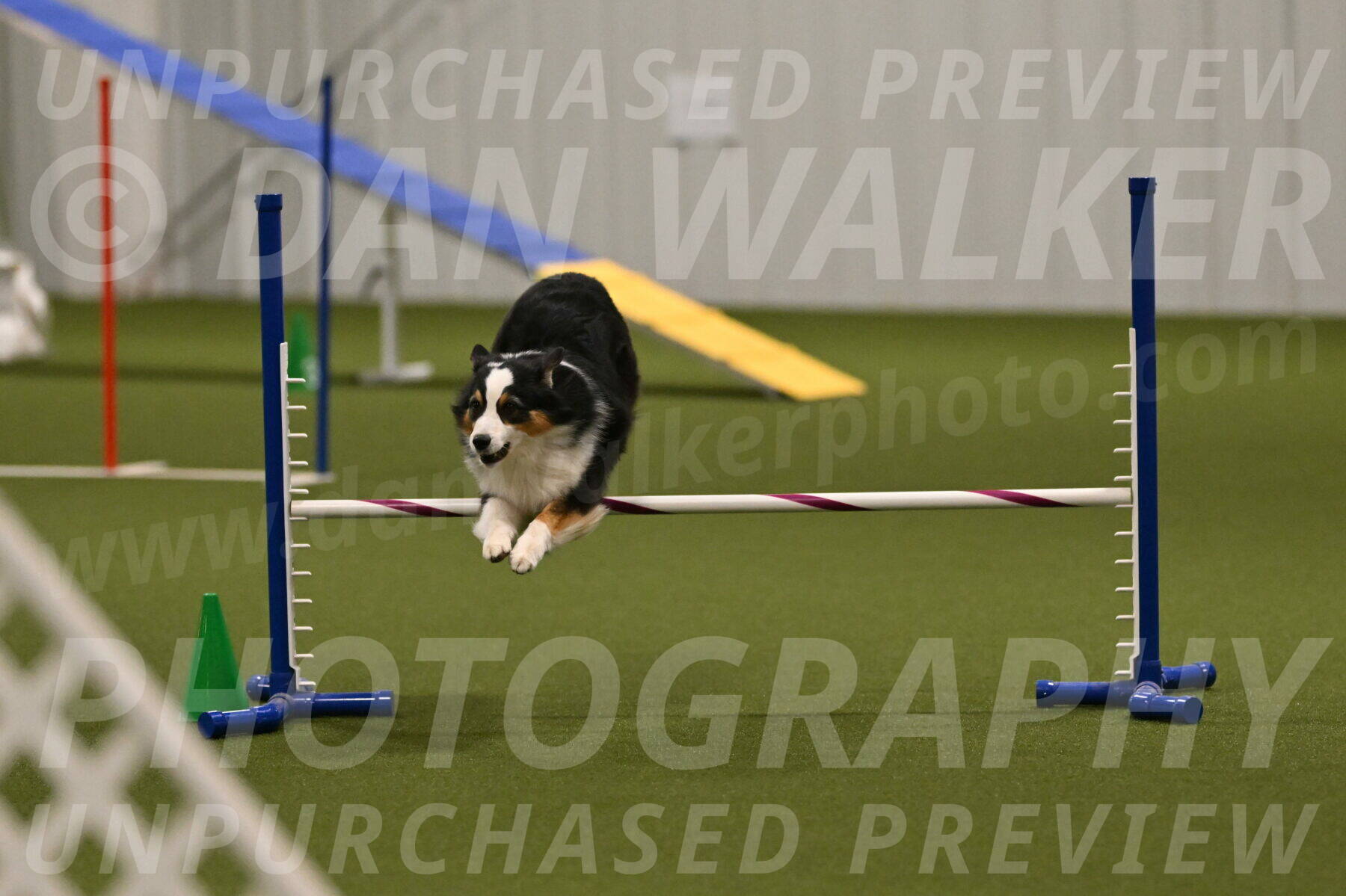 Amazing-Grace-Claudia-Brydon-01866