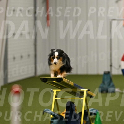 Amazing-Grace-Claudia-Brydon-01867