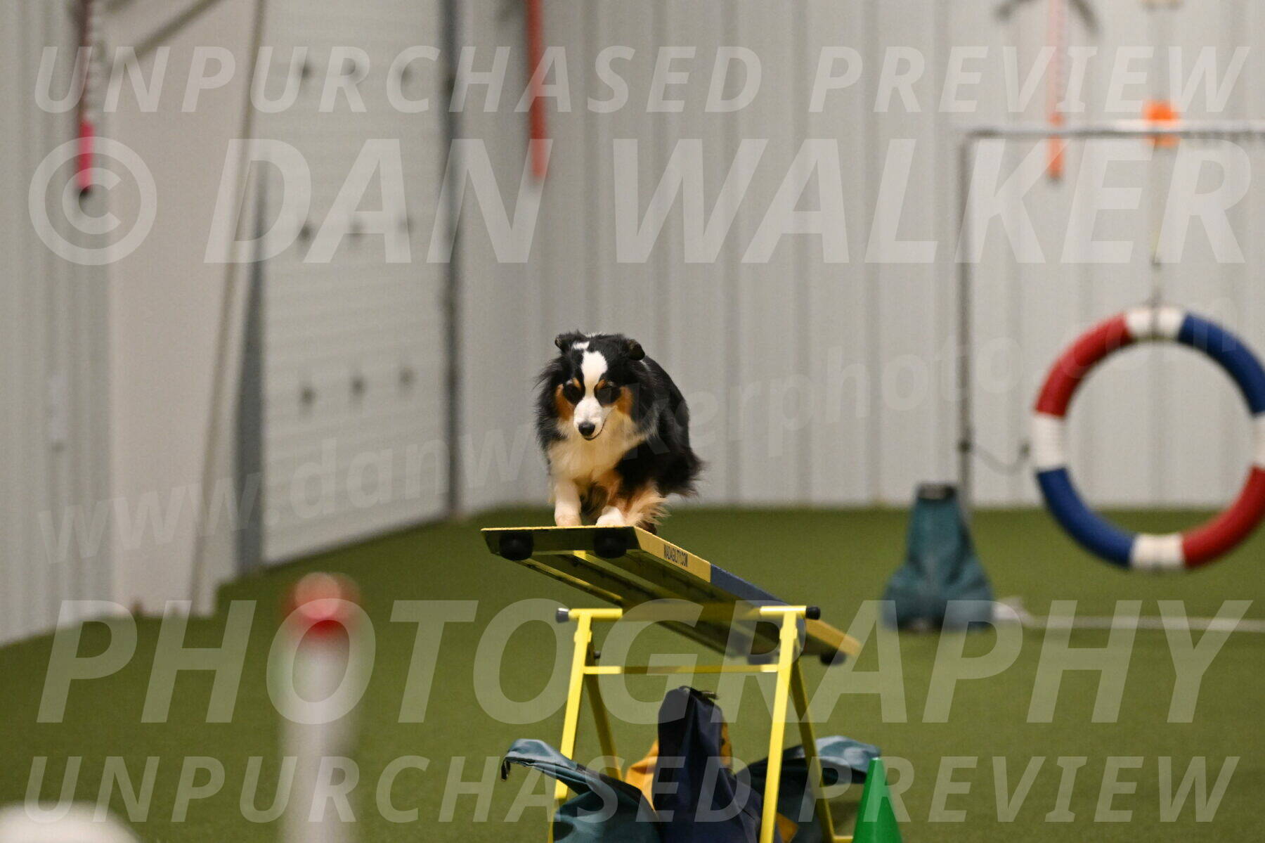 Amazing-Grace-Claudia-Brydon-01867