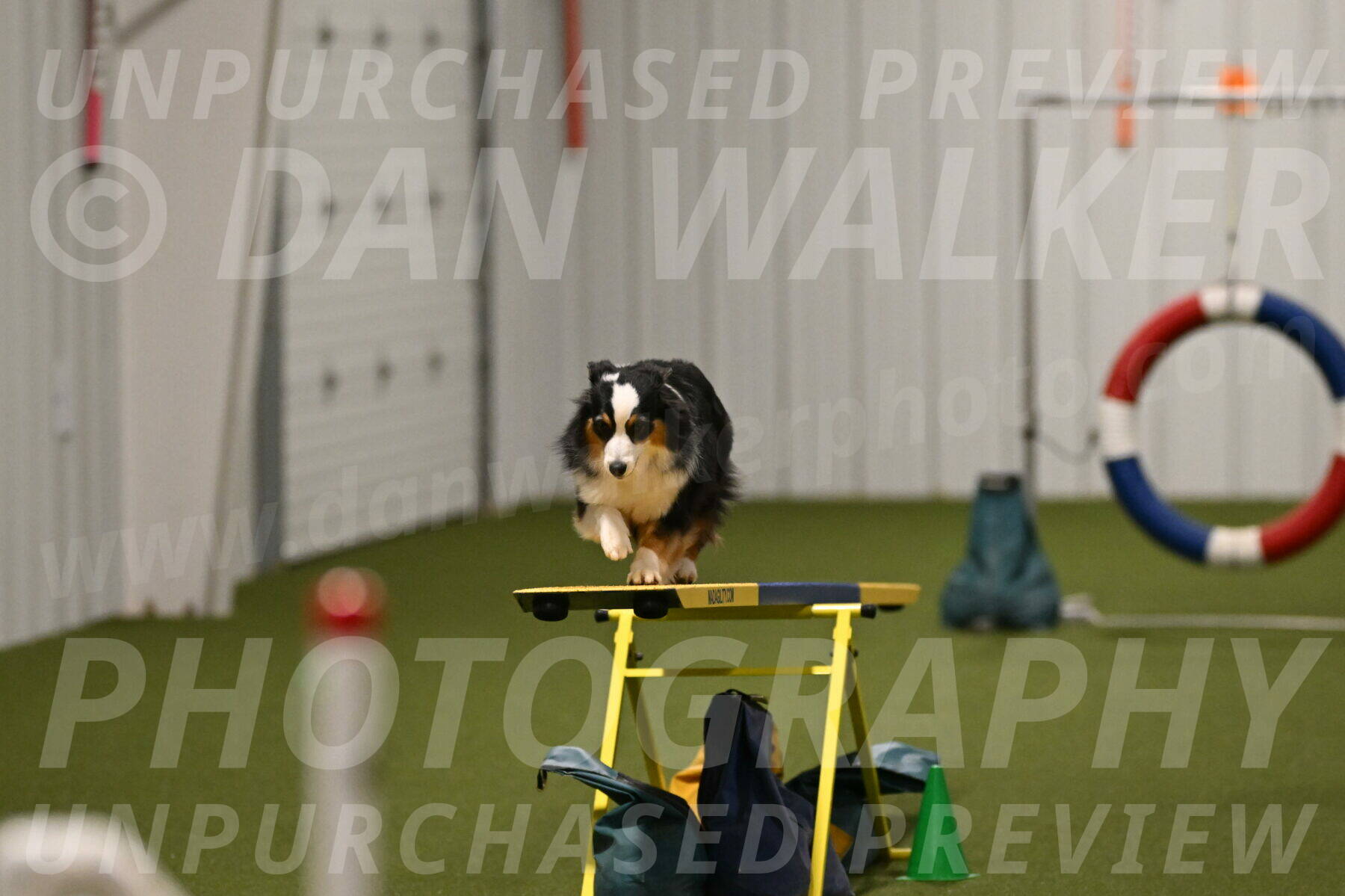 Amazing-Grace-Claudia-Brydon-01868