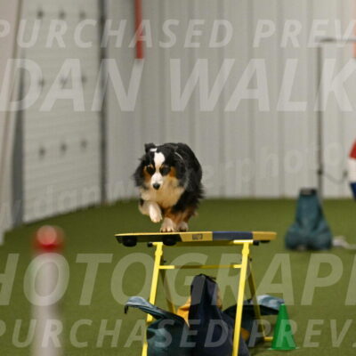 Amazing-Grace-Claudia-Brydon-01868