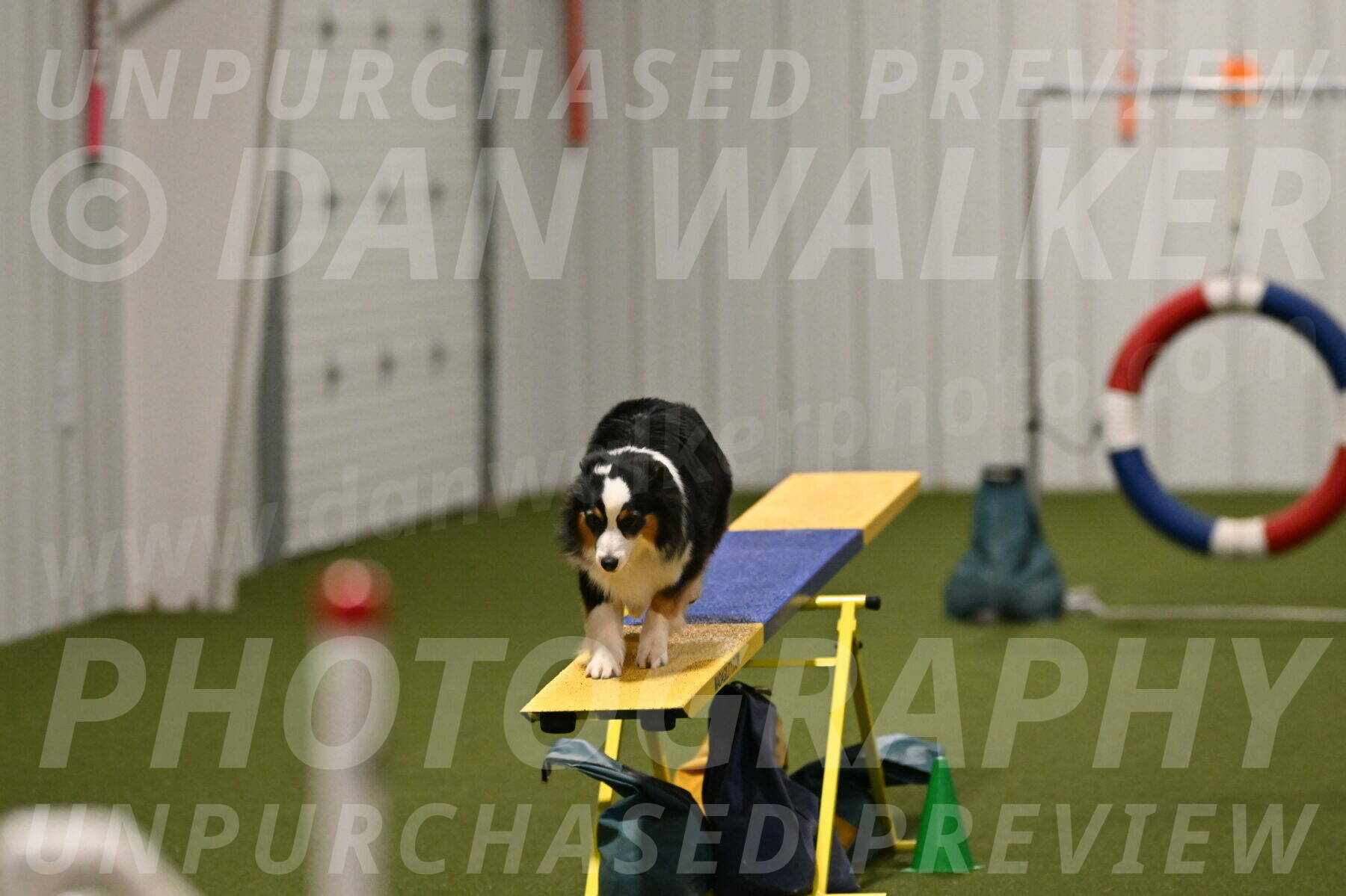 Amazing-Grace-Claudia-Brydon-01869